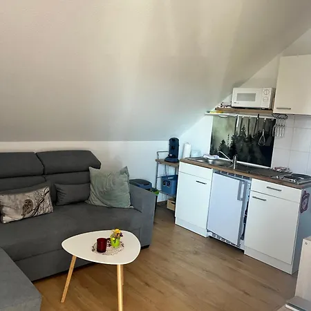 Haus Fernblick 아파트 *